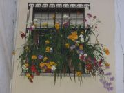 Primavera. Coin, Málaga